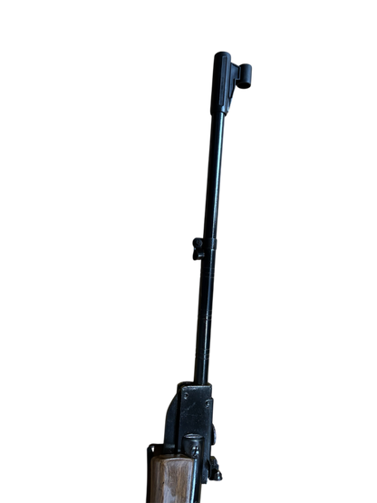 DE 100 .177  Air Rifle – By Indian Airgun